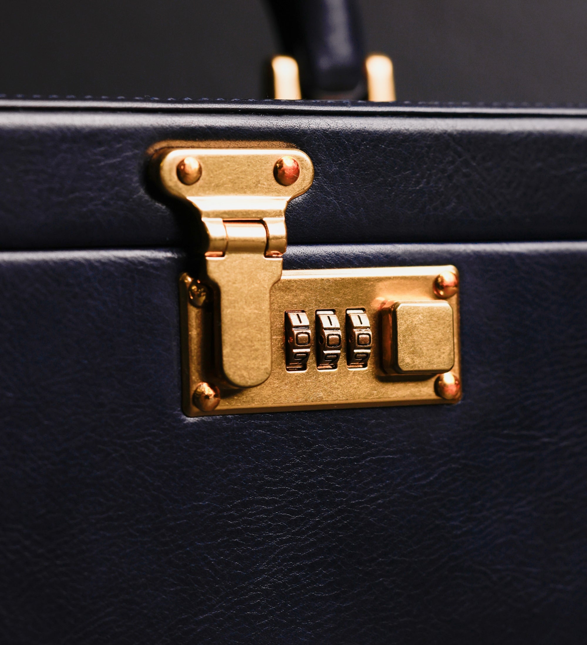 Großes Schmuckkästchen aus Leder für Damen - The Portrait of a Lady