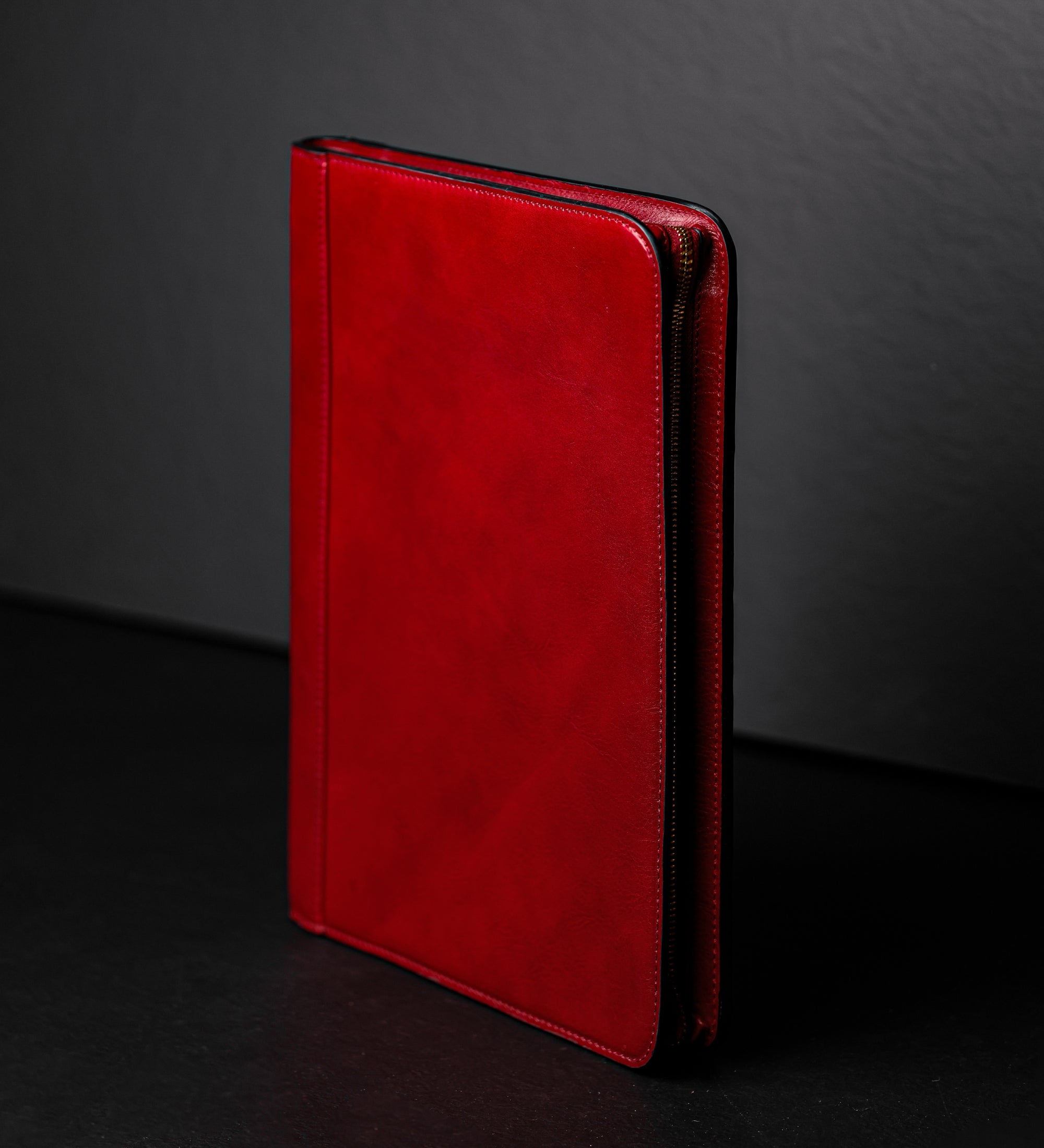 Damen Dokumentenmappe aus Leder im A4-Format - Candide